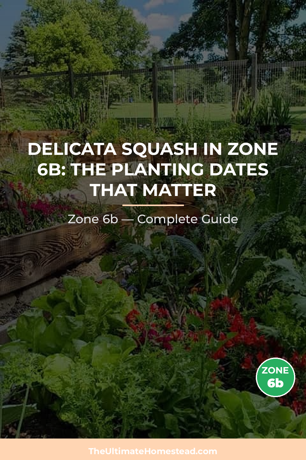 When to Plant Delicata Squash in Zone 6b