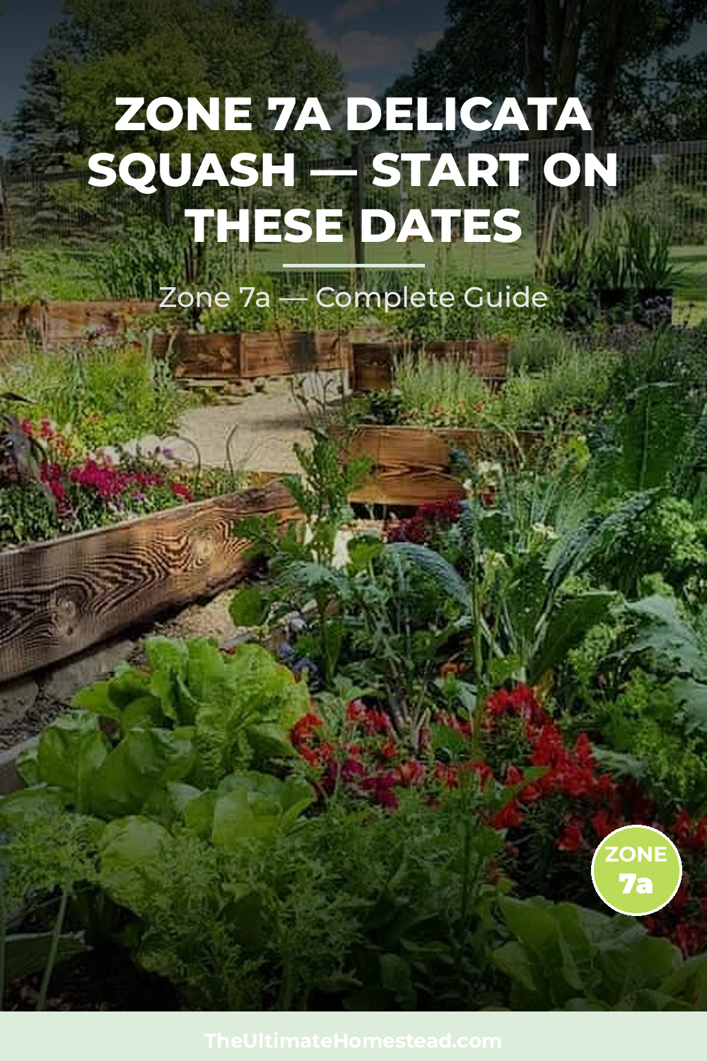 When to Plant Delicata Squash in Zone 7a