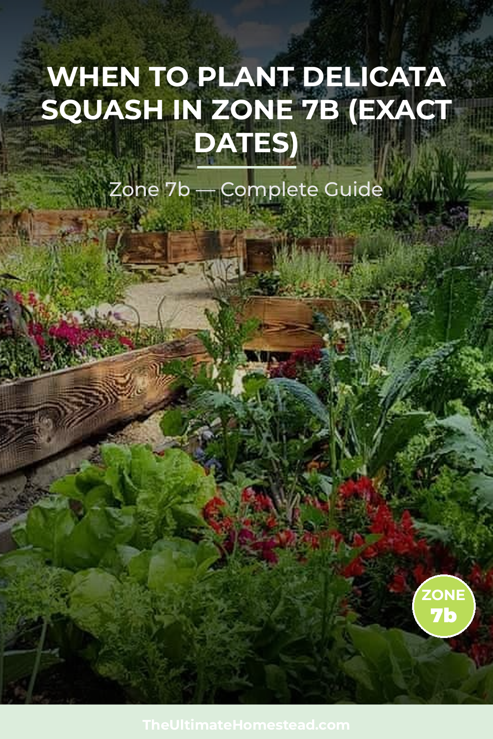 When to Plant Delicata Squash in Zone 7b