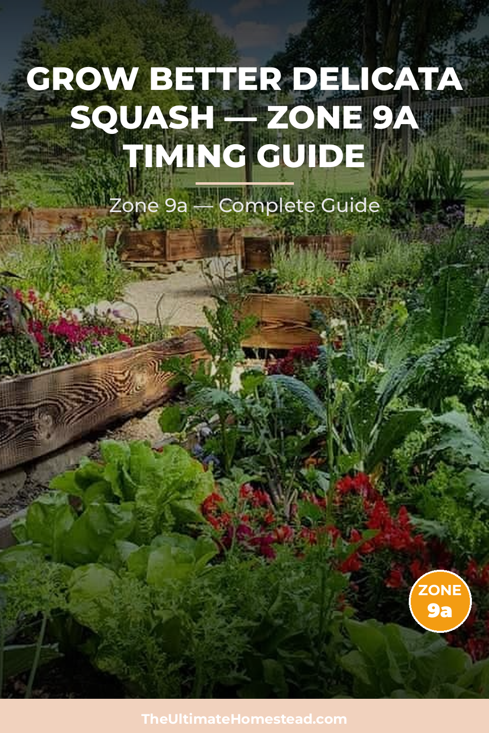 When to Plant Delicata Squash in Zone 9a