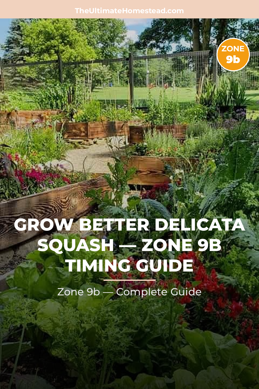 When to Plant Delicata Squash in Zone 9b