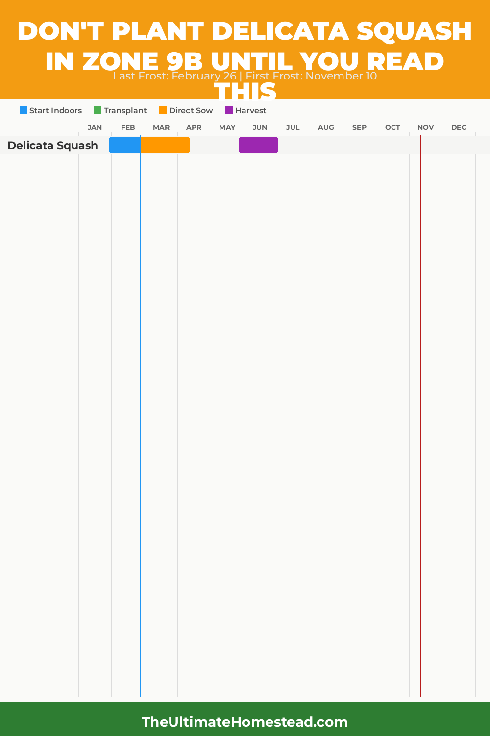 When to Plant Delicata Squash in Zone 9b