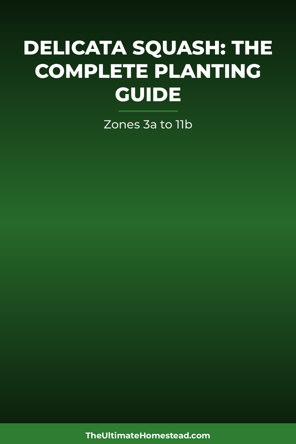 Delicata Squash Planting Guide