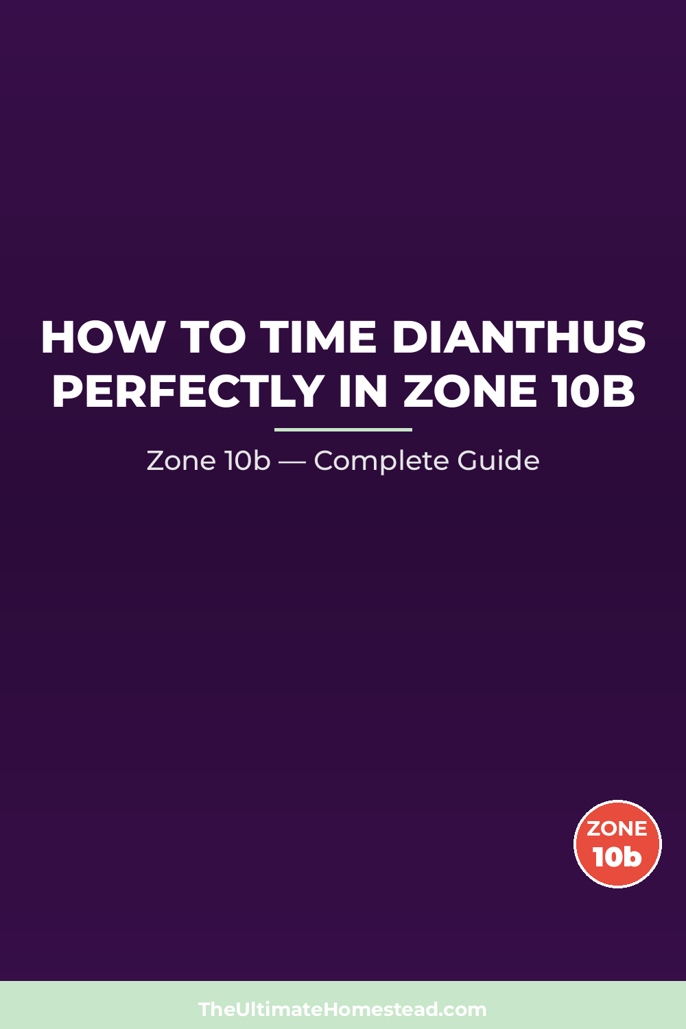 When to Plant Dianthus in Zone 10b