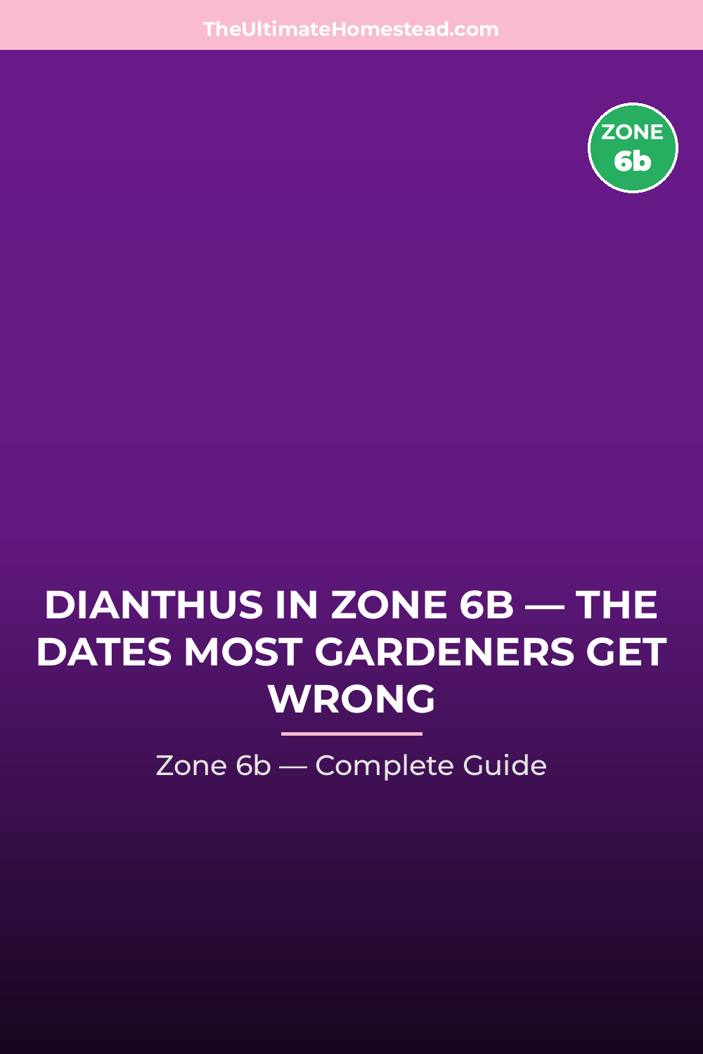 When to Plant Dianthus in Zone 6b