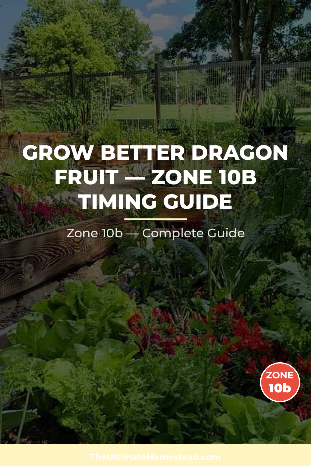 When to Plant Dragon Fruit in Zone 10b