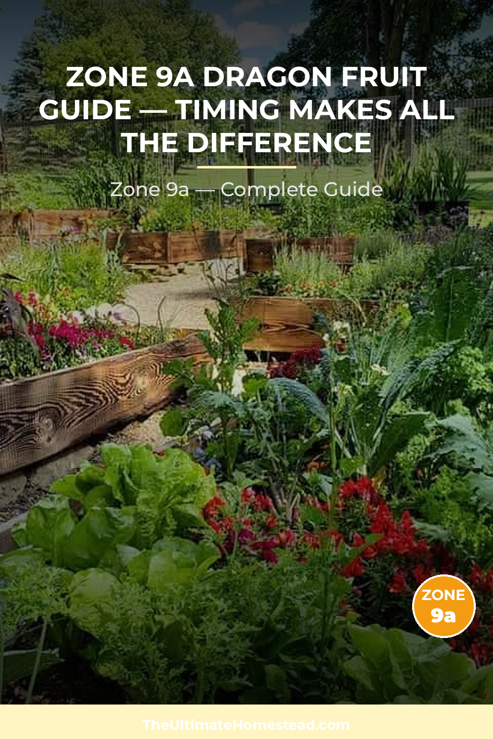When to Plant Dragon Fruit in Zone 9a