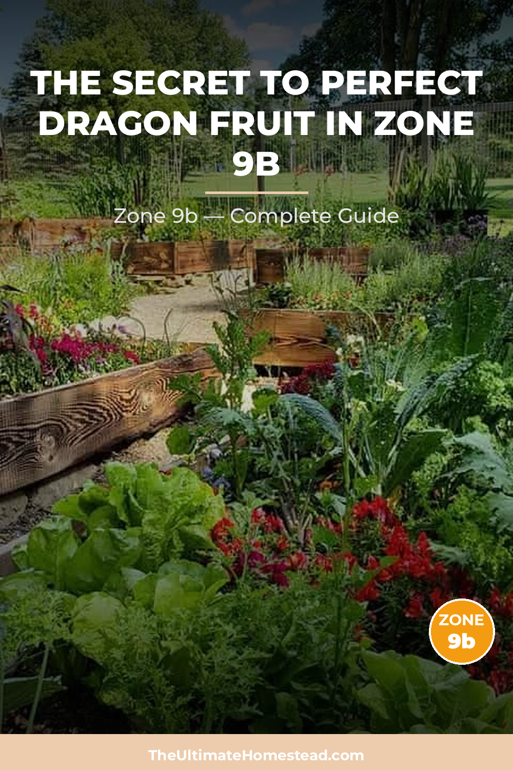 When to Plant Dragon Fruit in Zone 9b