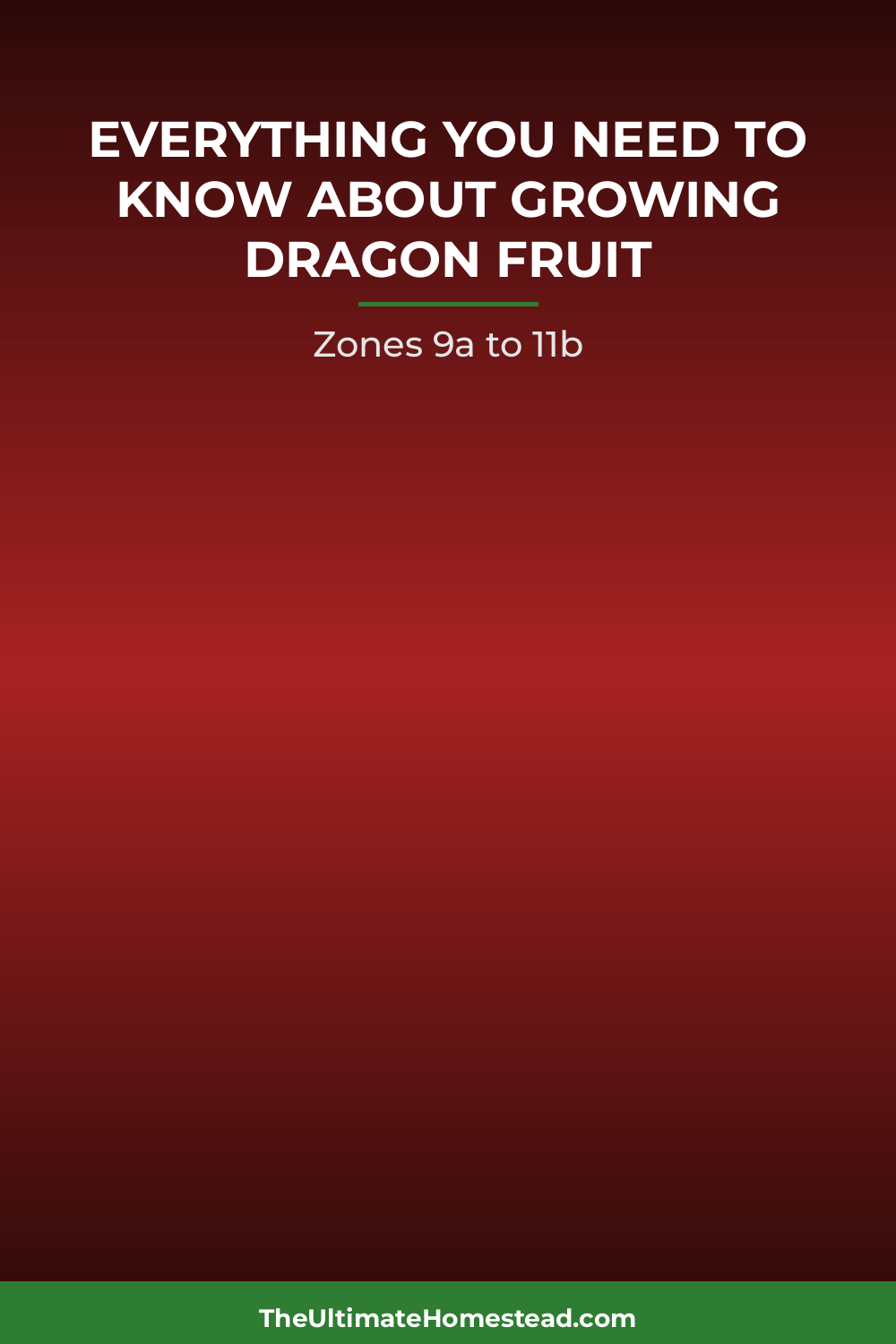 Dragon Fruit Planting Guide