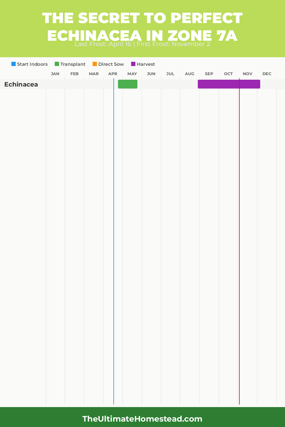 When to Plant Echinacea in Zone 7a
