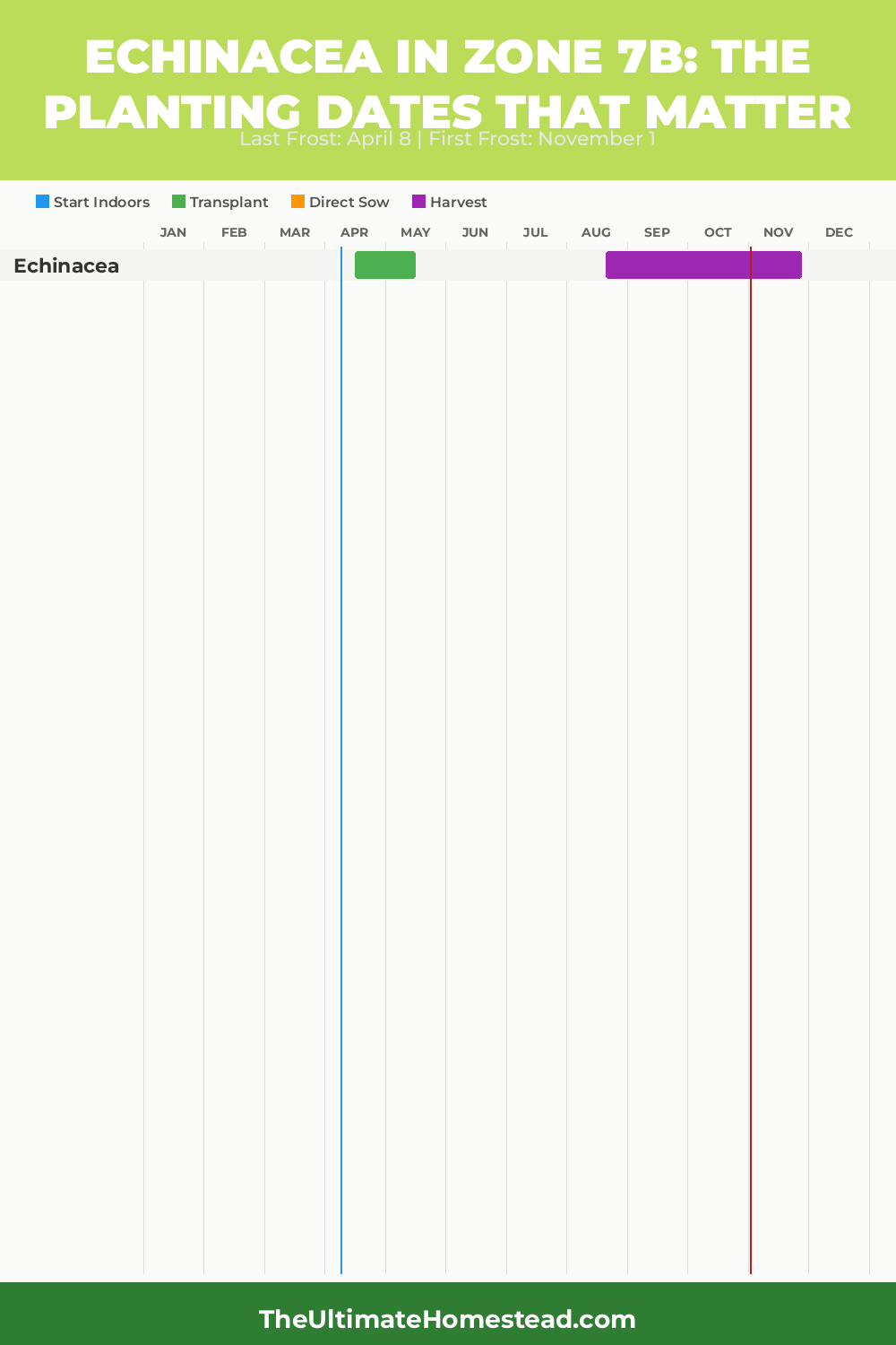 When to Plant Echinacea in Zone 7b