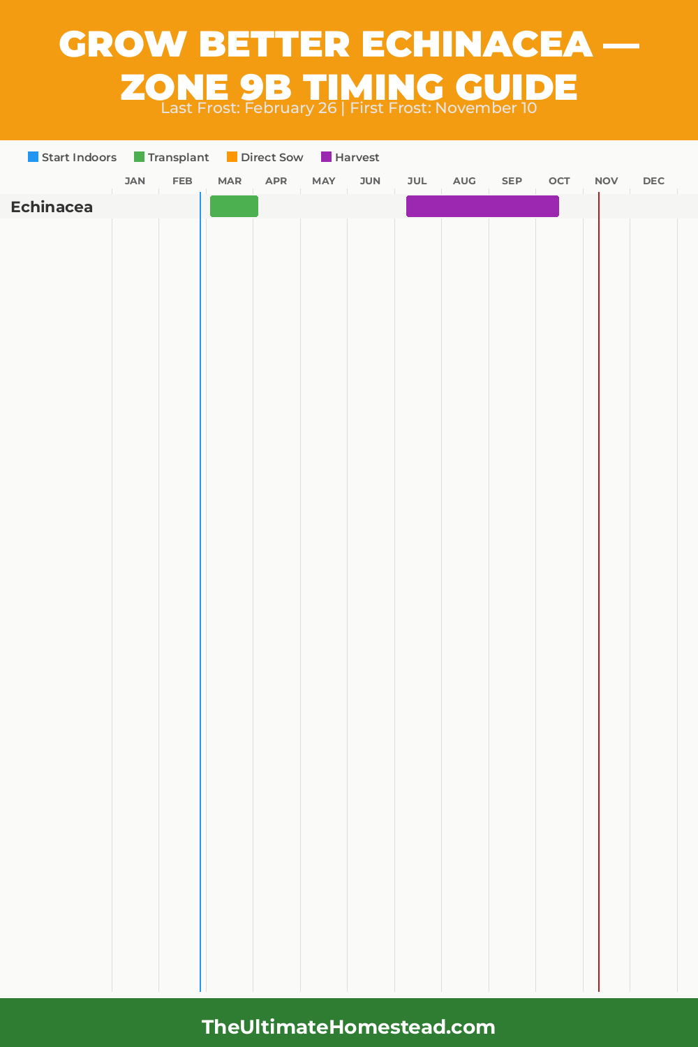 When to Plant Echinacea in Zone 9b