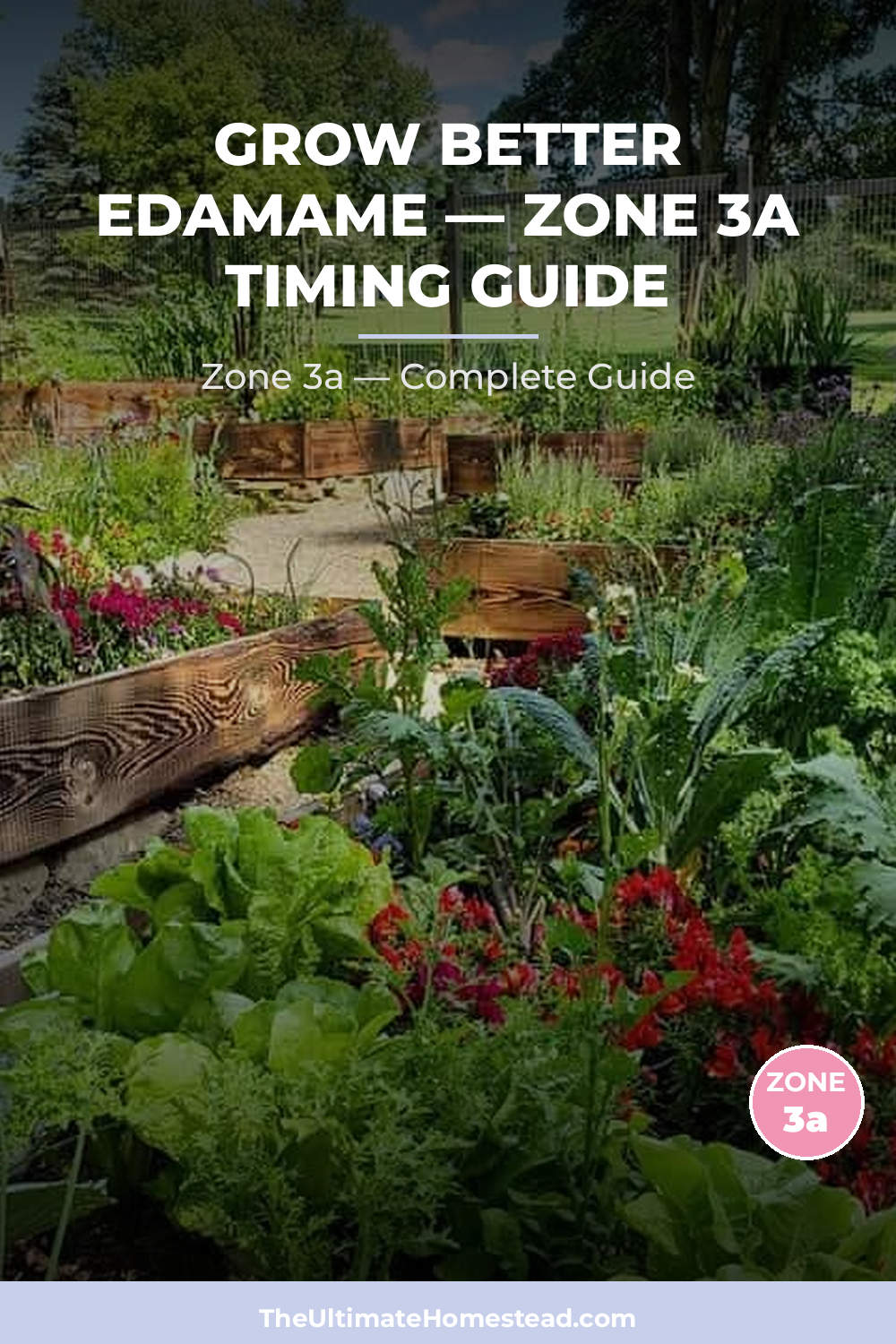 When to Plant Edamame in Zone 3a