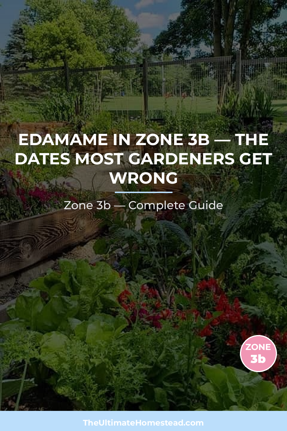 When to Plant Edamame in Zone 3b