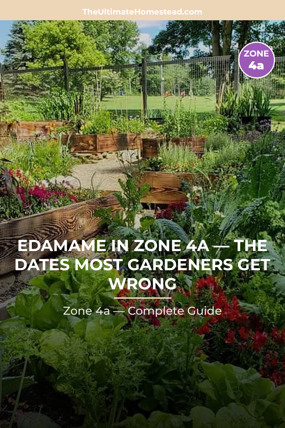 When to Plant Edamame in Zone 4a