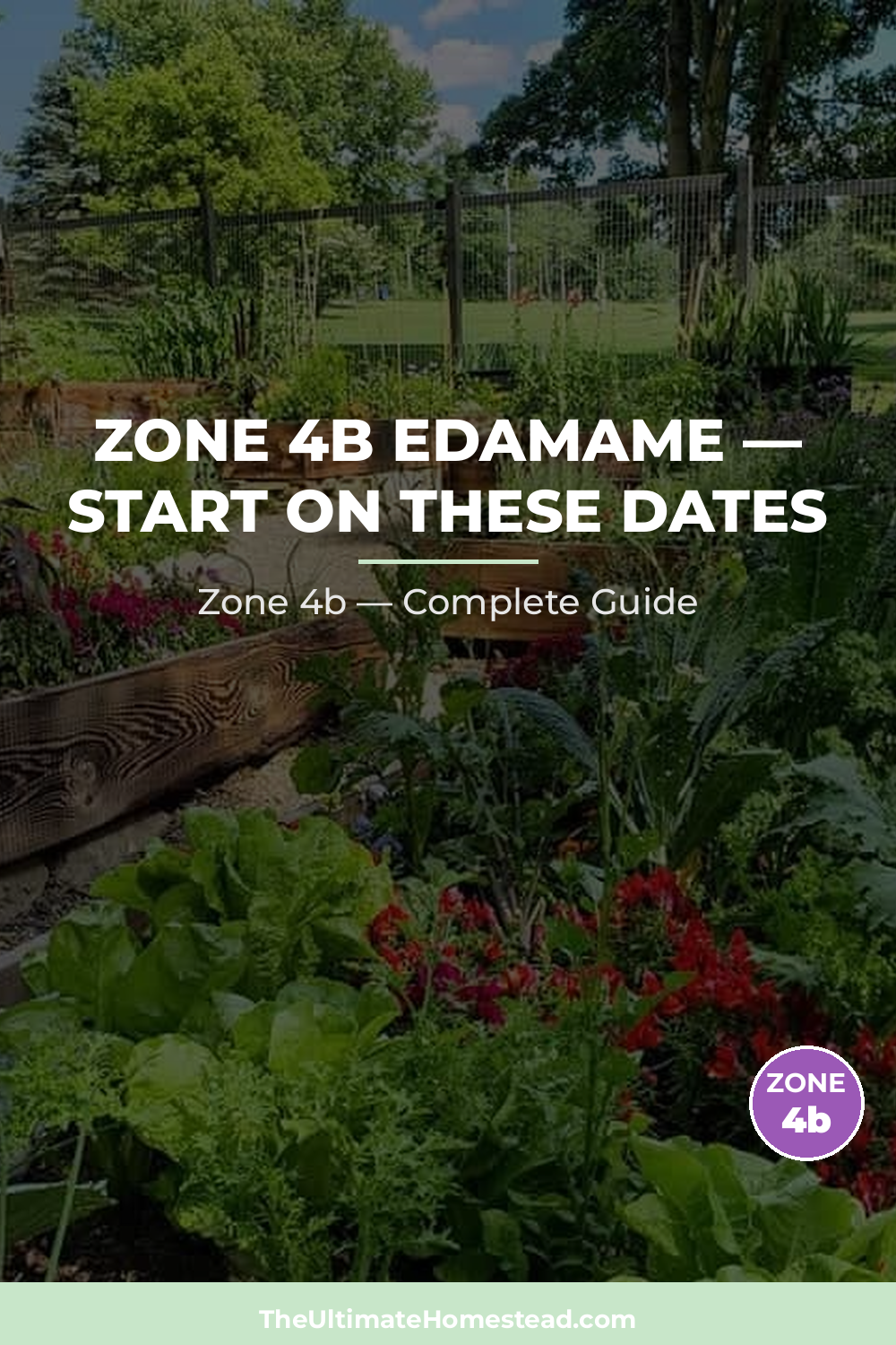 When to Plant Edamame in Zone 4b