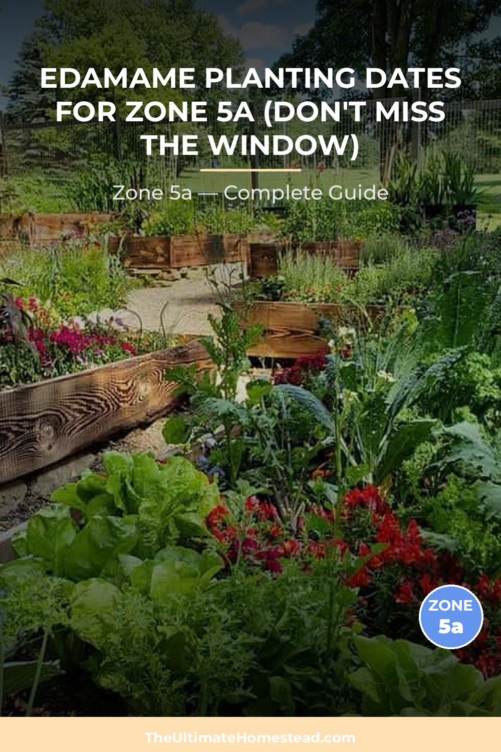 When to Plant Edamame in Zone 5a