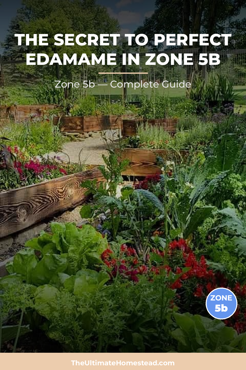 When to Plant Edamame in Zone 5b