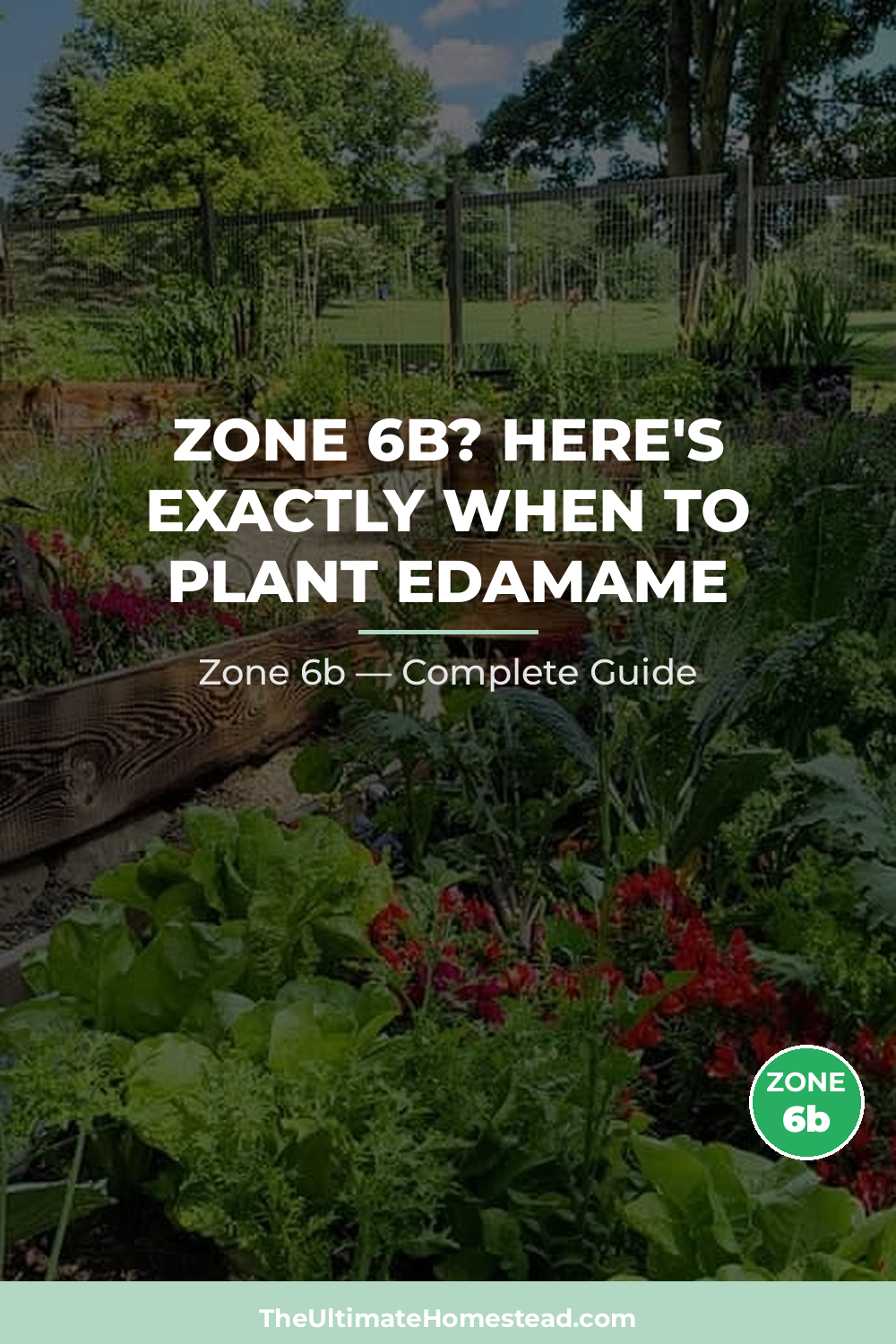 When to Plant Edamame in Zone 6b