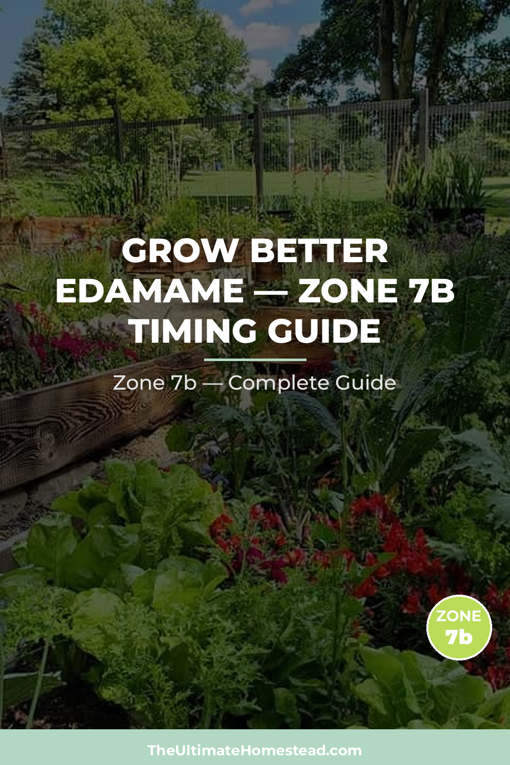 When to Plant Edamame in Zone 7b