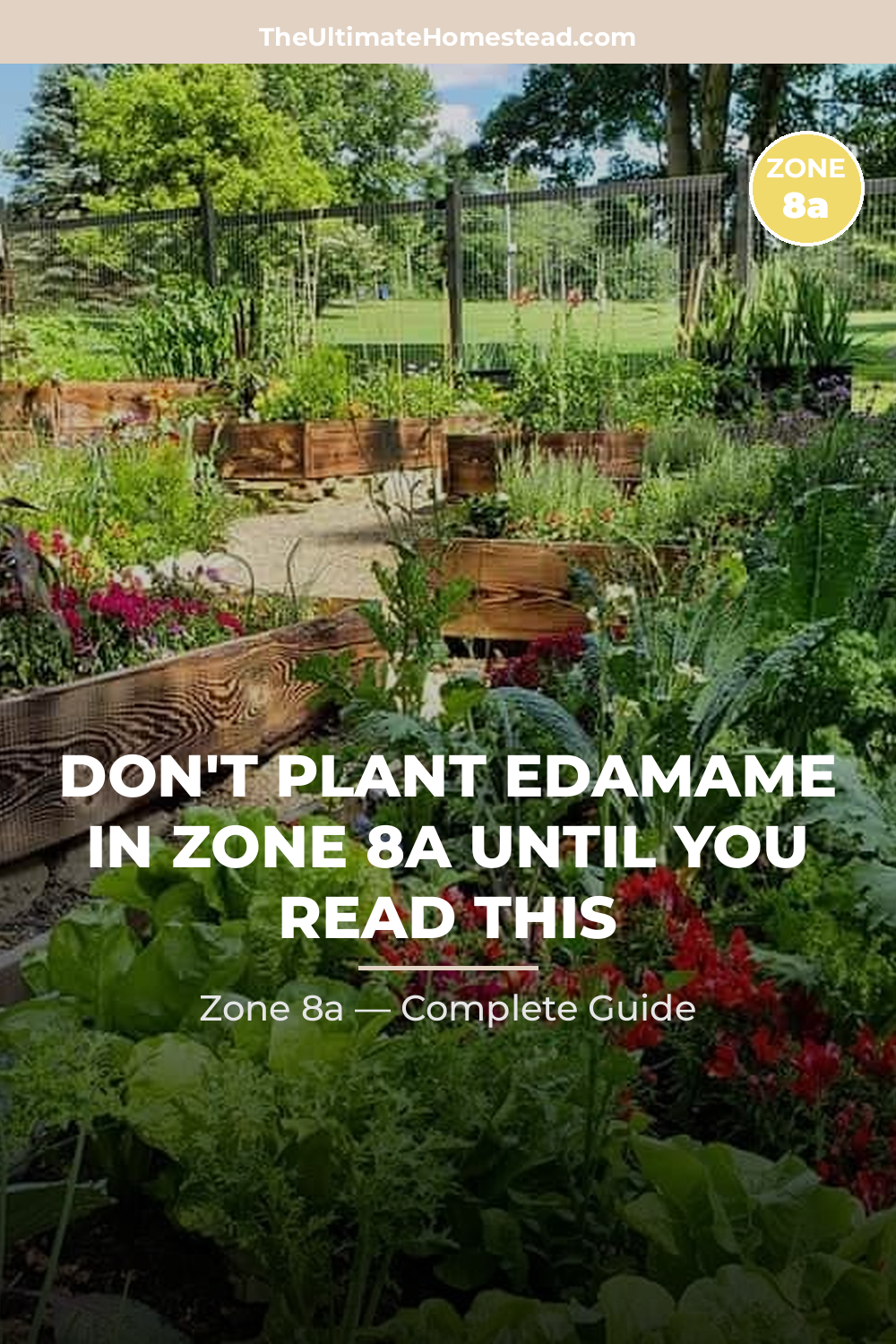 When to Plant Edamame in Zone 8a