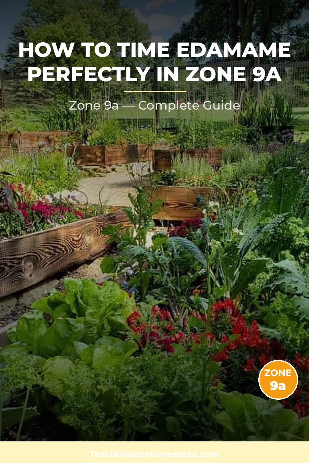 When to Plant Edamame in Zone 9a