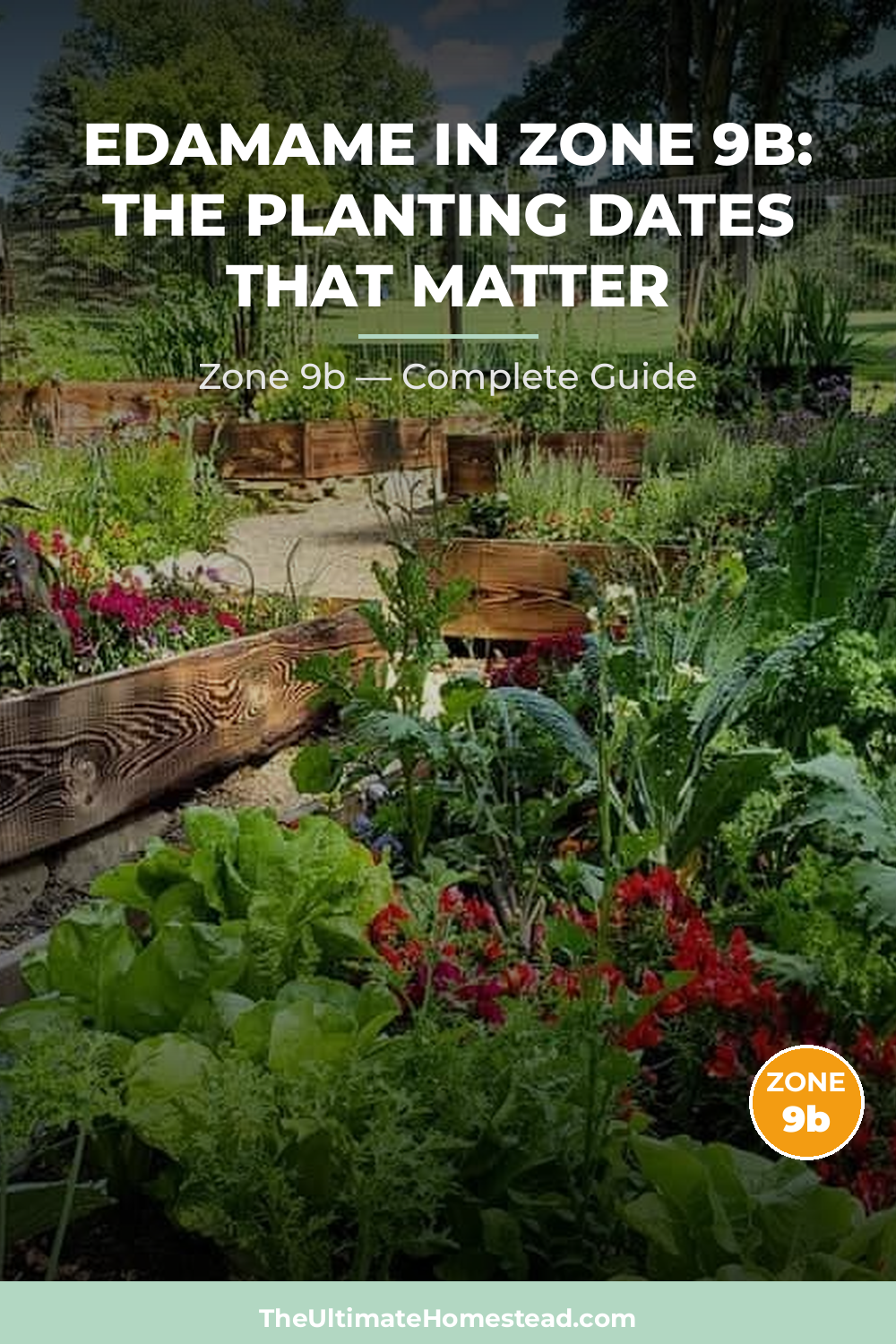 When to Plant Edamame in Zone 9b