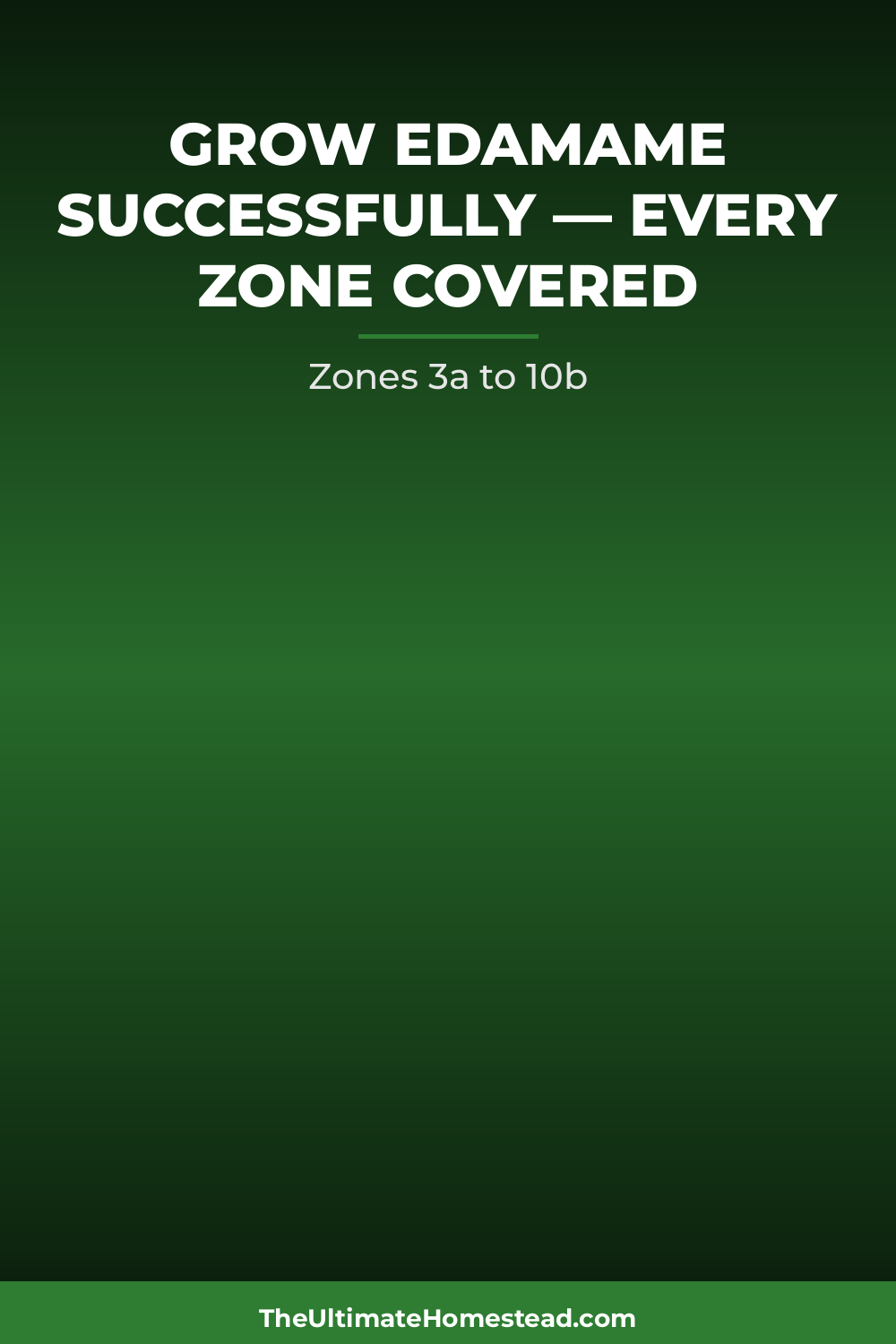 Edamame Planting Guide