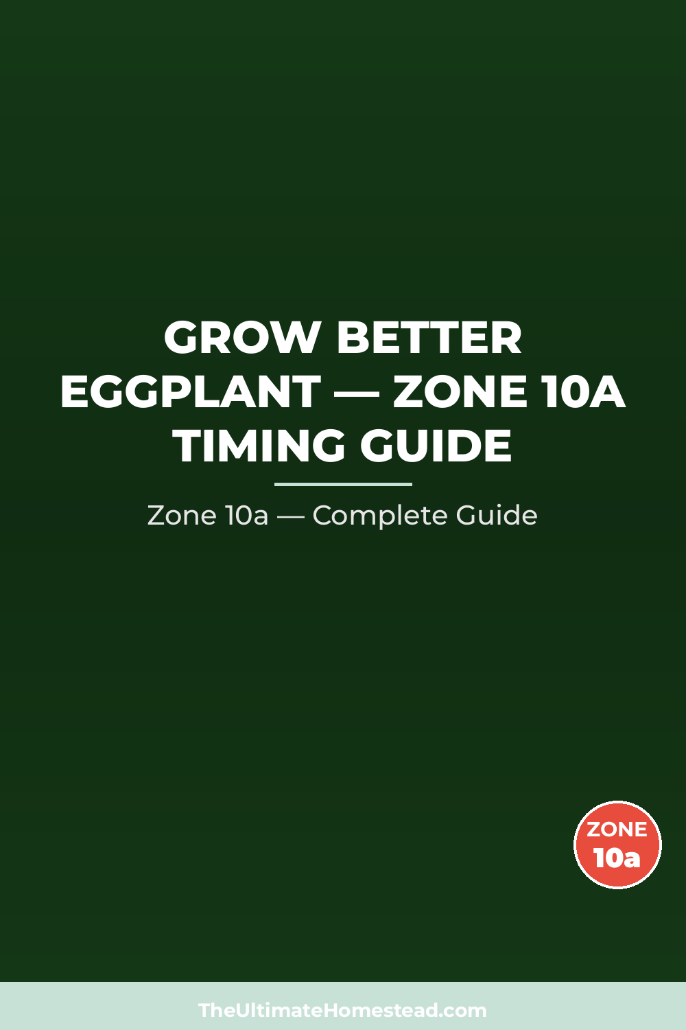 When to Plant Eggplant in Zone 10a