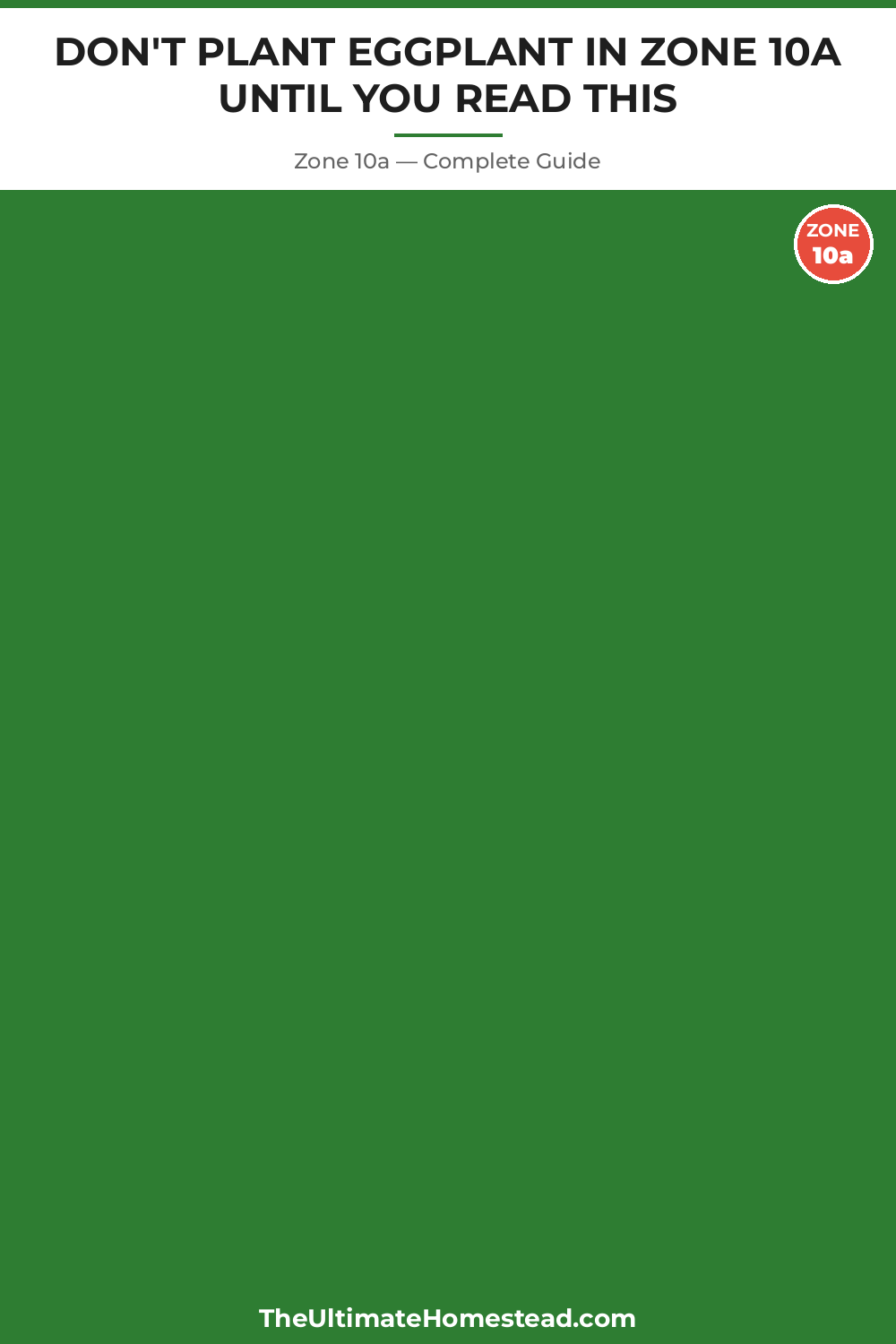 When to Plant Eggplant in Zone 10a