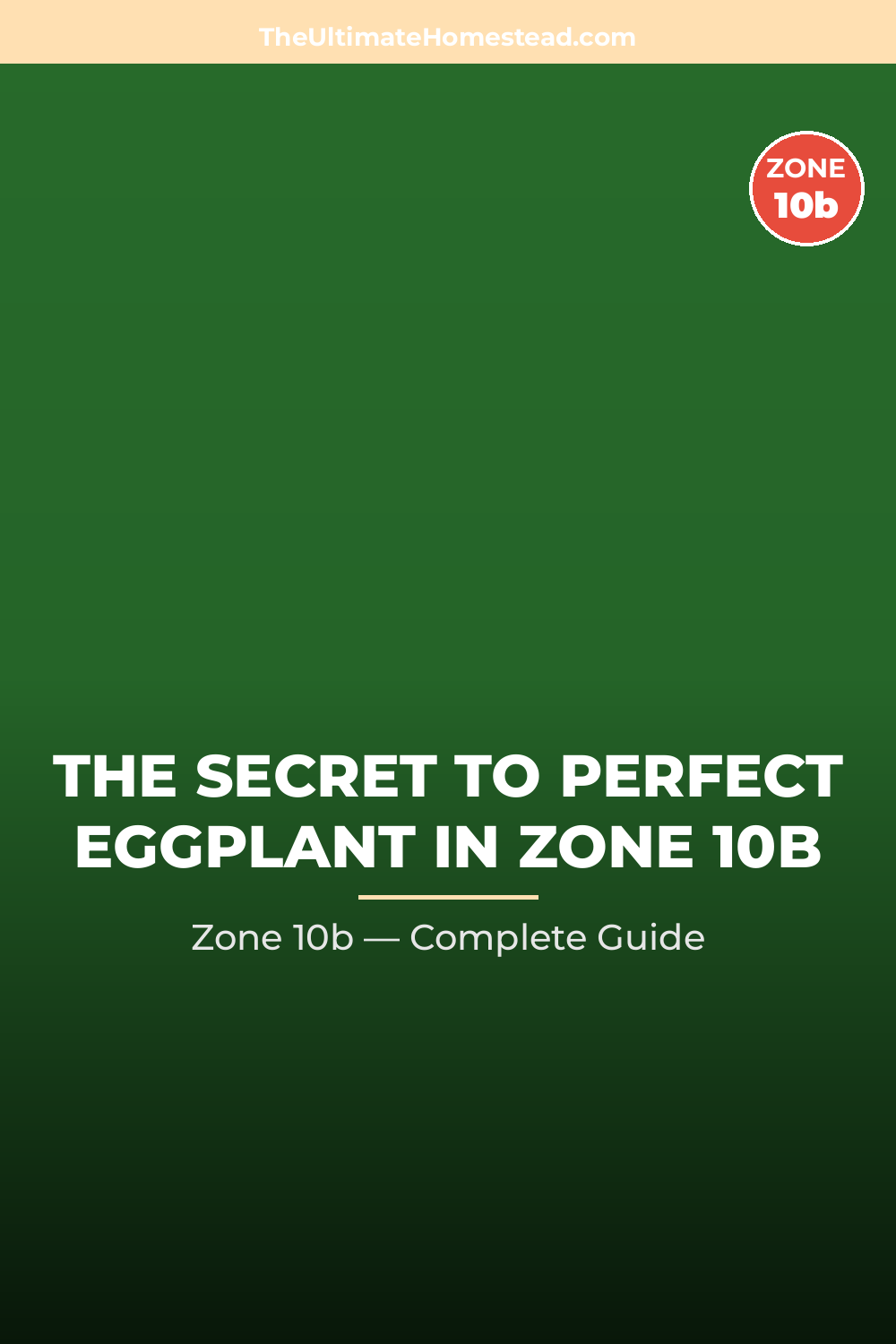 When to Plant Eggplant in Zone 10b