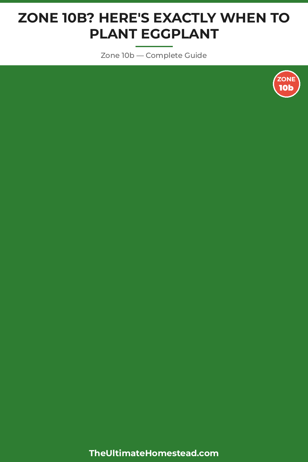 When to Plant Eggplant in Zone 10b