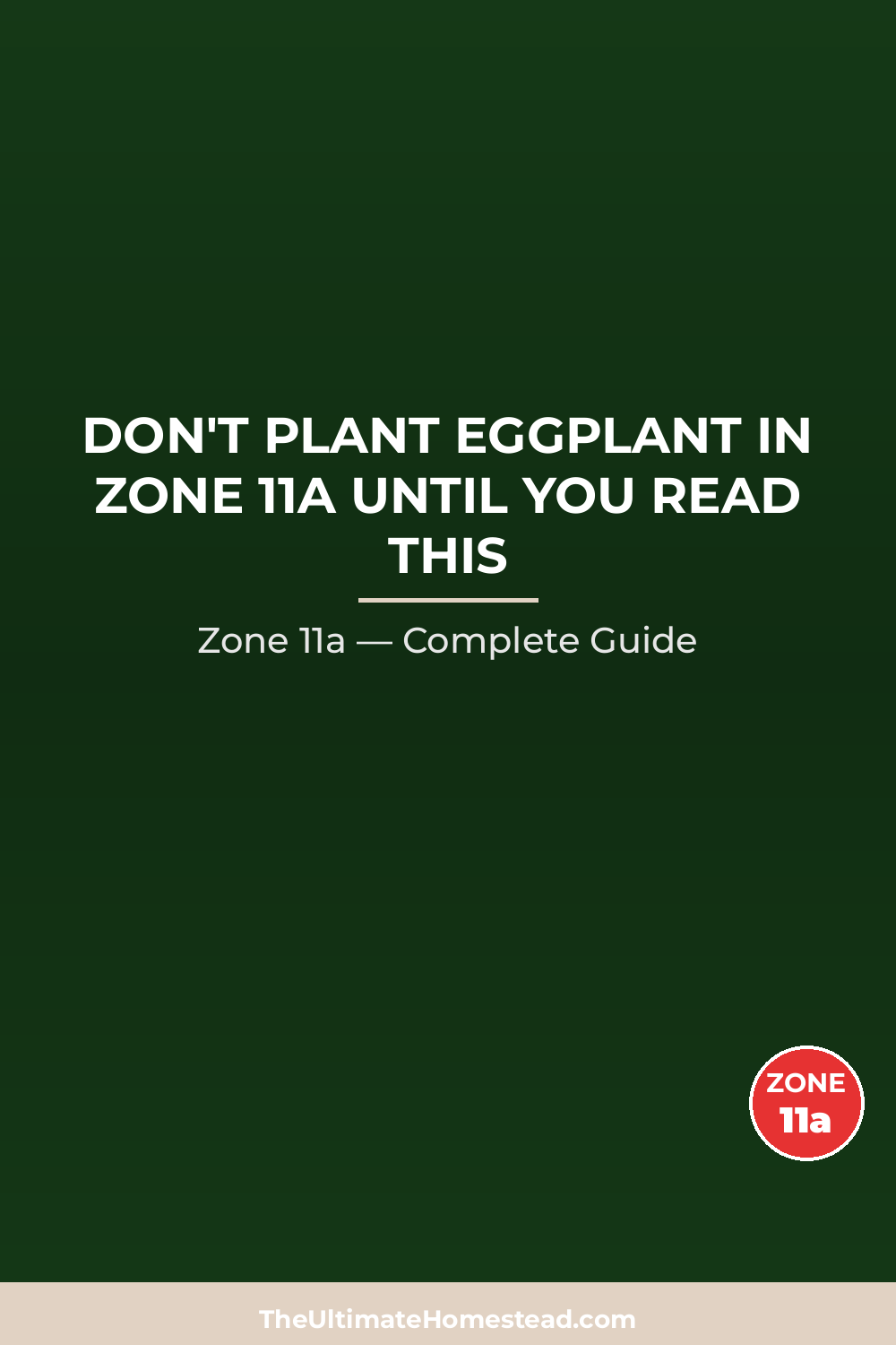 When to Plant Eggplant in Zone 11a