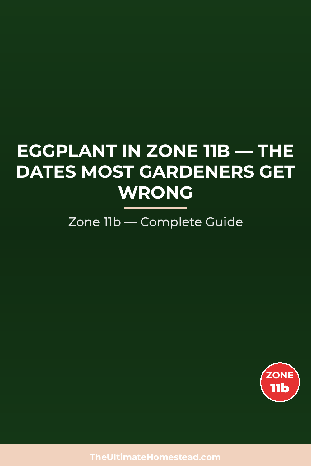 When to Plant Eggplant in Zone 11b