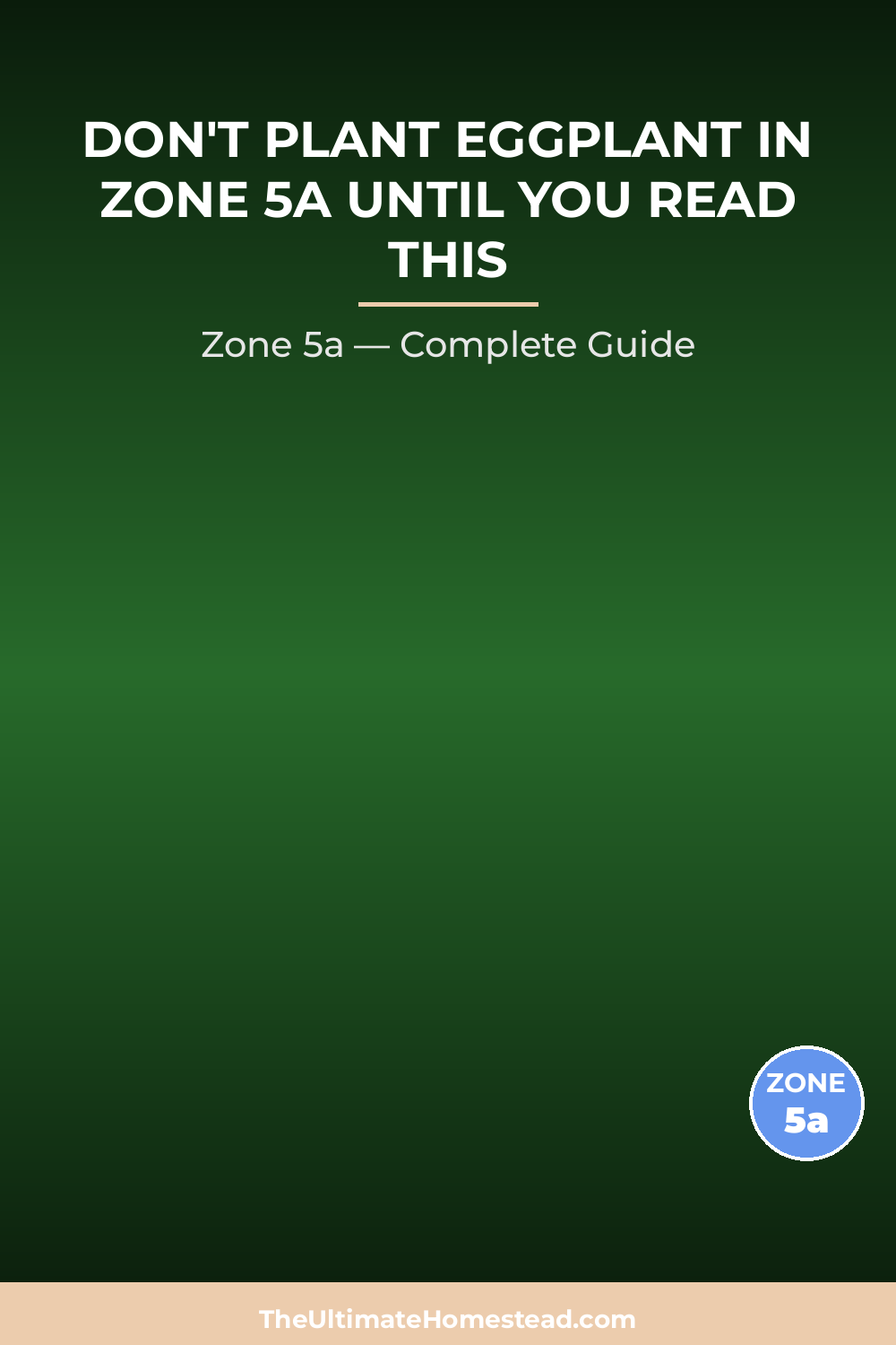 When to Plant Eggplant in Zone 5a