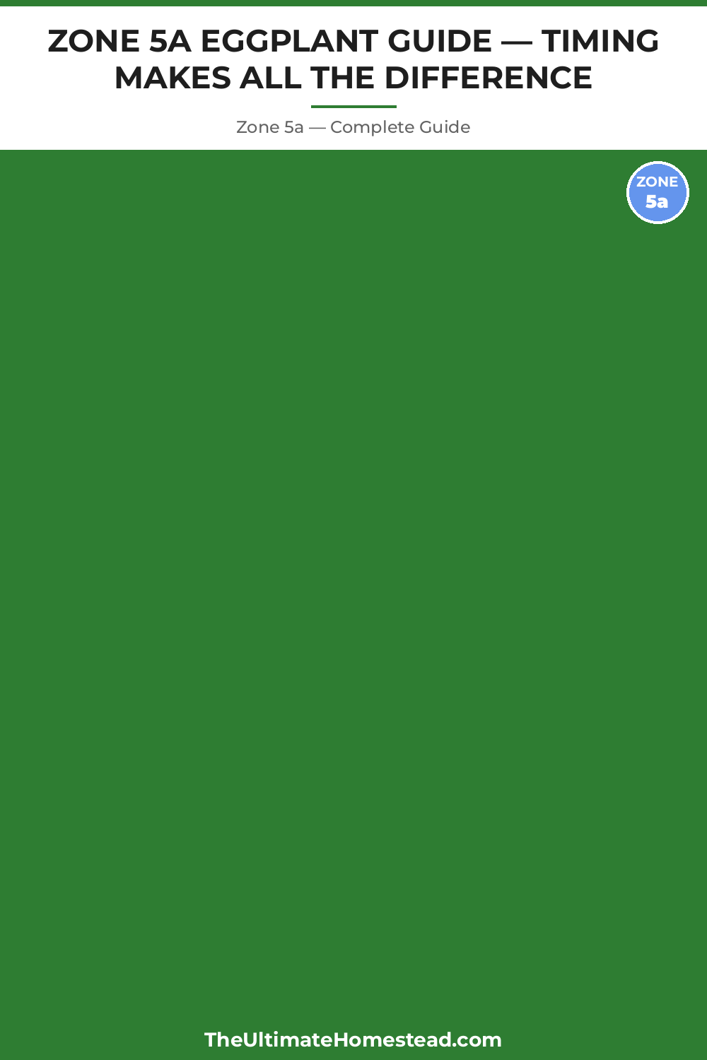 When to Plant Eggplant in Zone 5a