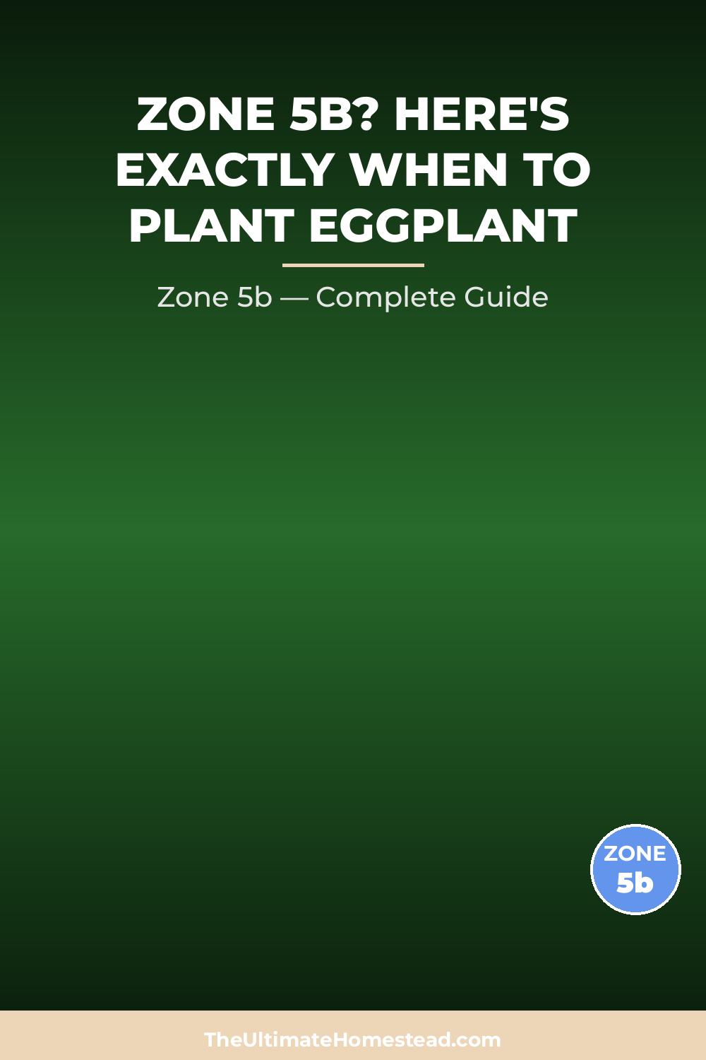 When to Plant Eggplant in Zone 5b