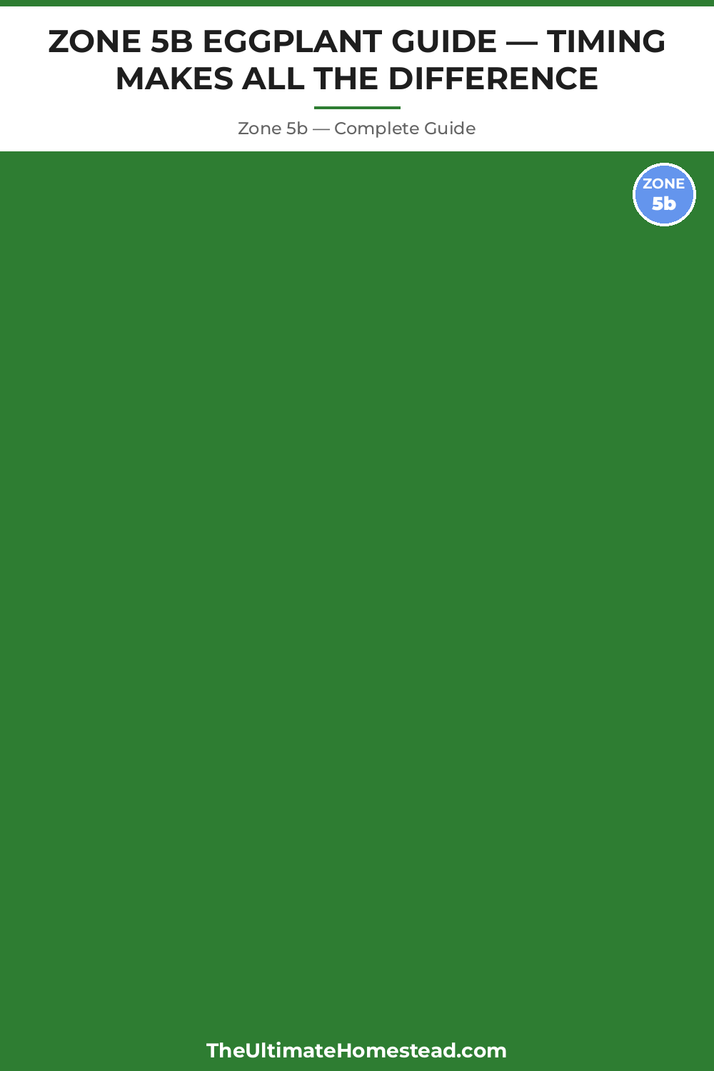 When to Plant Eggplant in Zone 5b