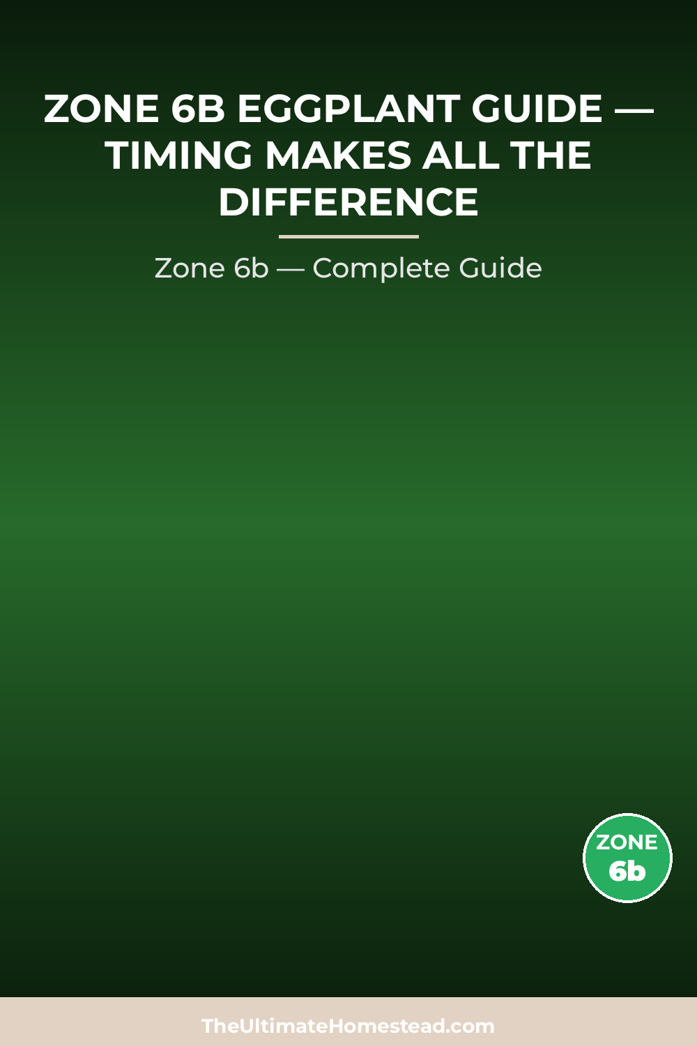 When to Plant Eggplant in Zone 6b