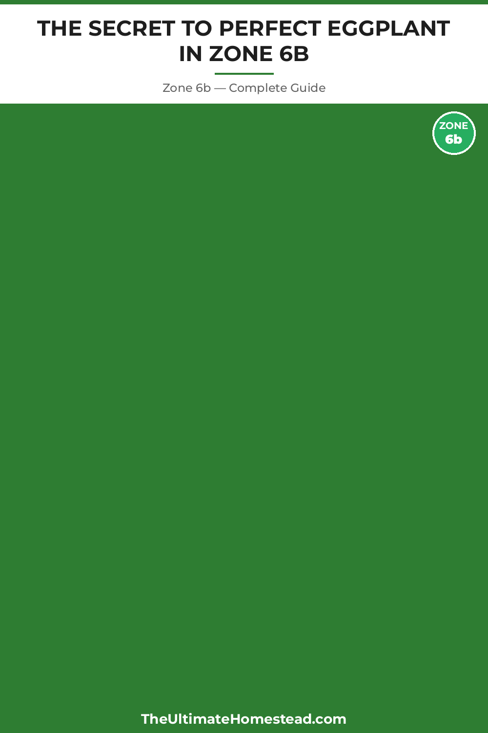 When to Plant Eggplant in Zone 6b