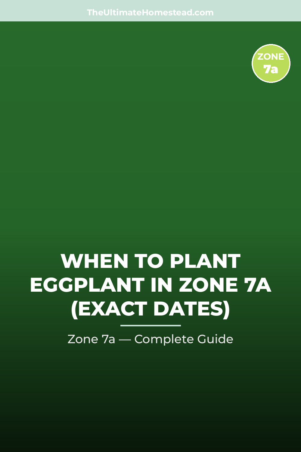 When to Plant Eggplant in Zone 7a