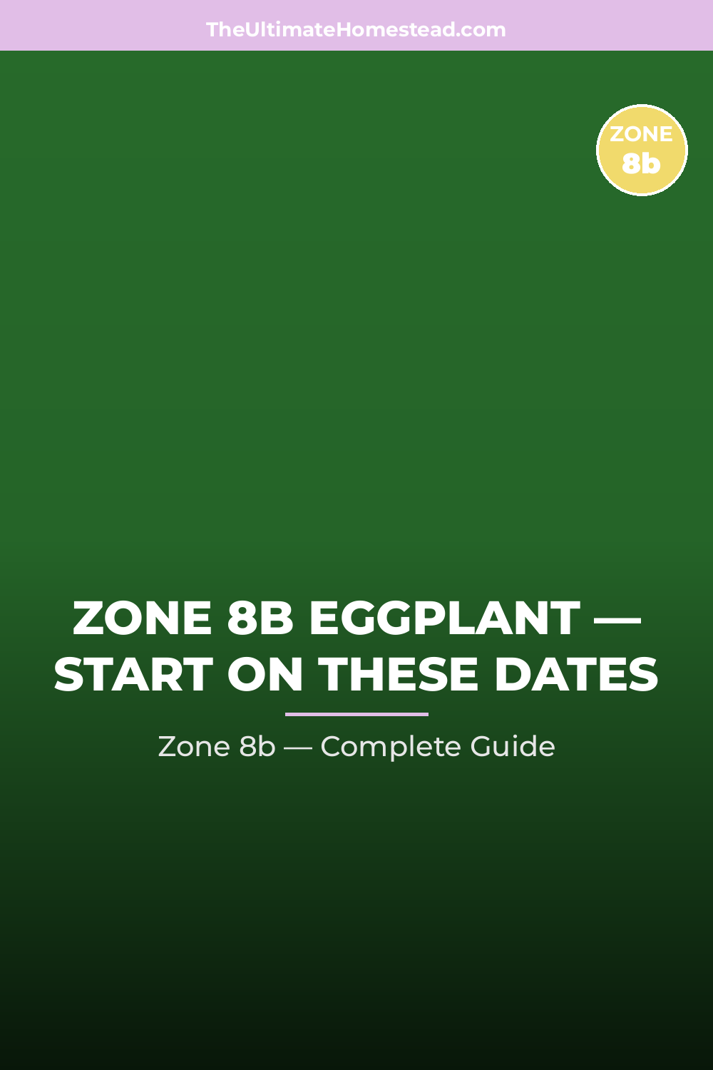 When to Plant Eggplant in Zone 8b