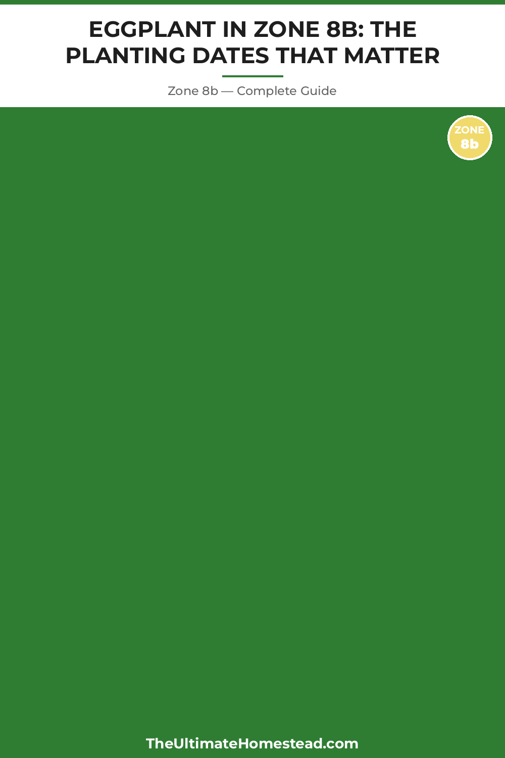 When to Plant Eggplant in Zone 8b