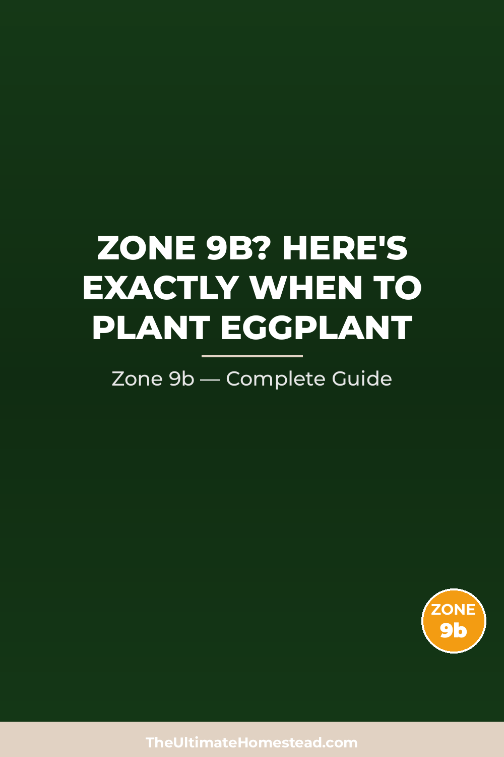When to Plant Eggplant in Zone 9b