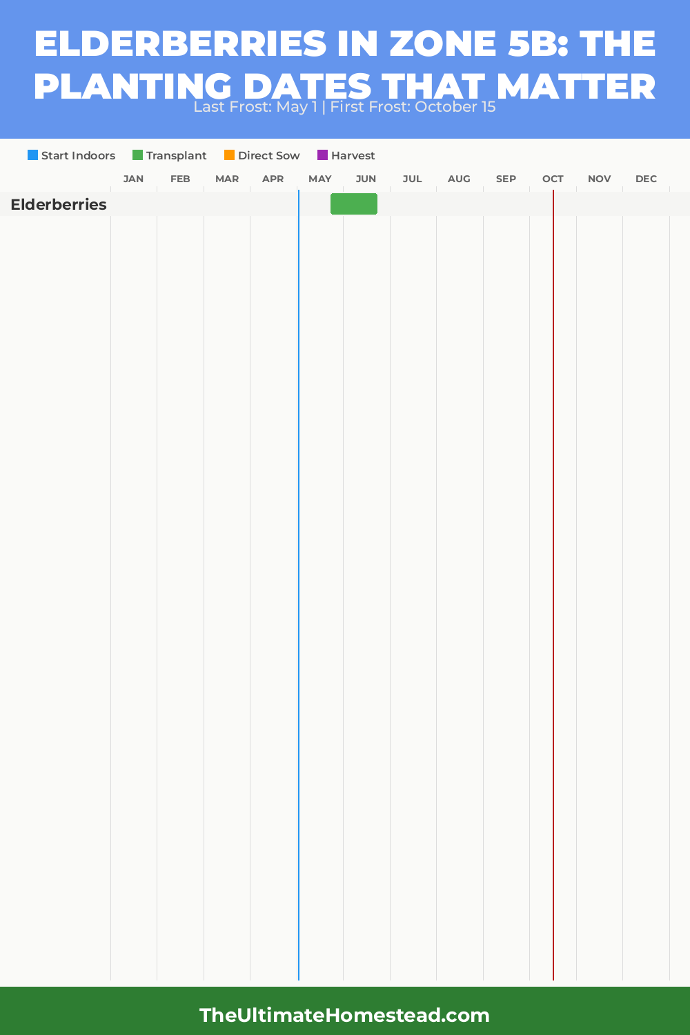 When to Plant Elderberries in Zone 5b