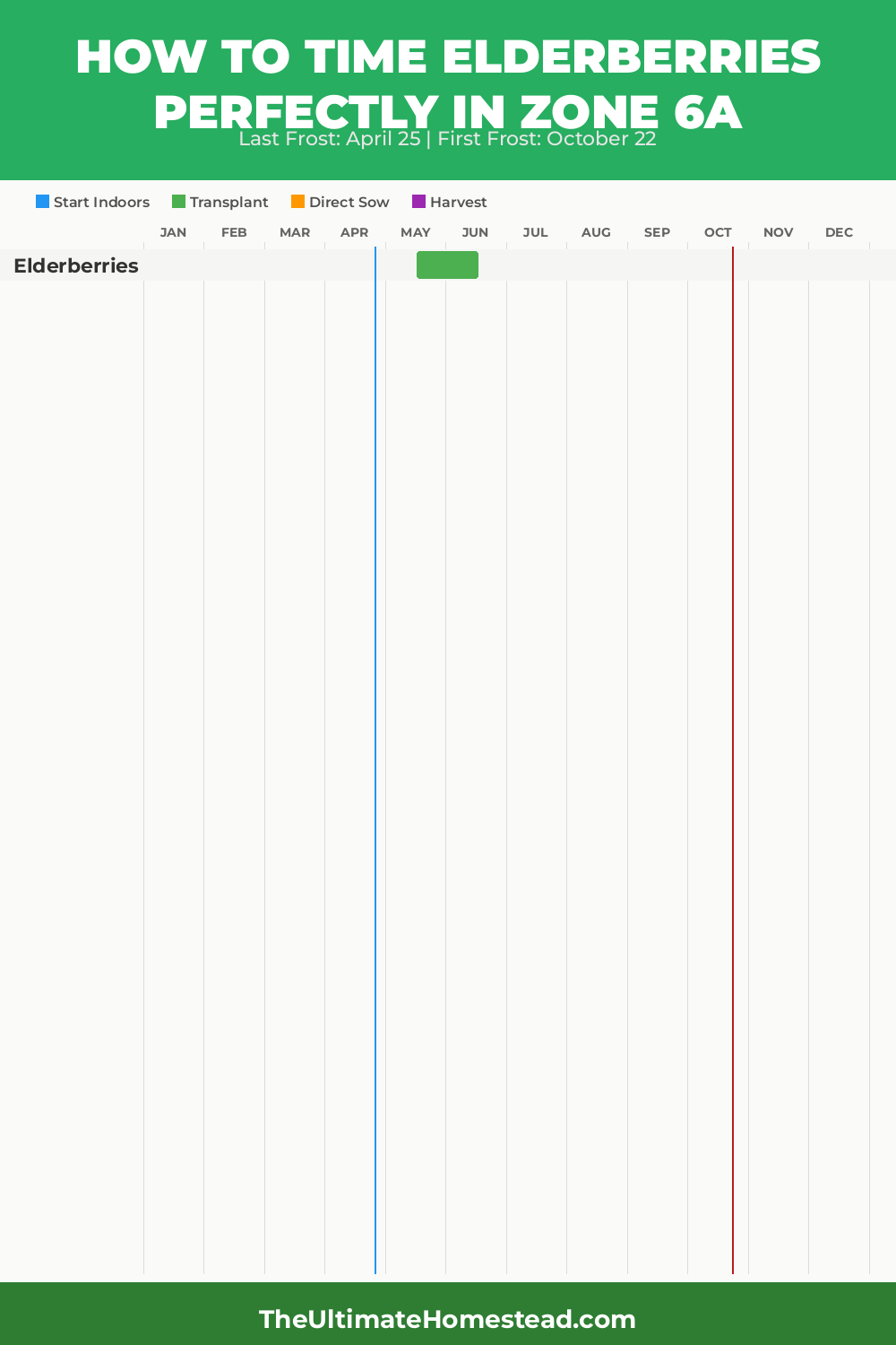 When to Plant Elderberries in Zone 6a