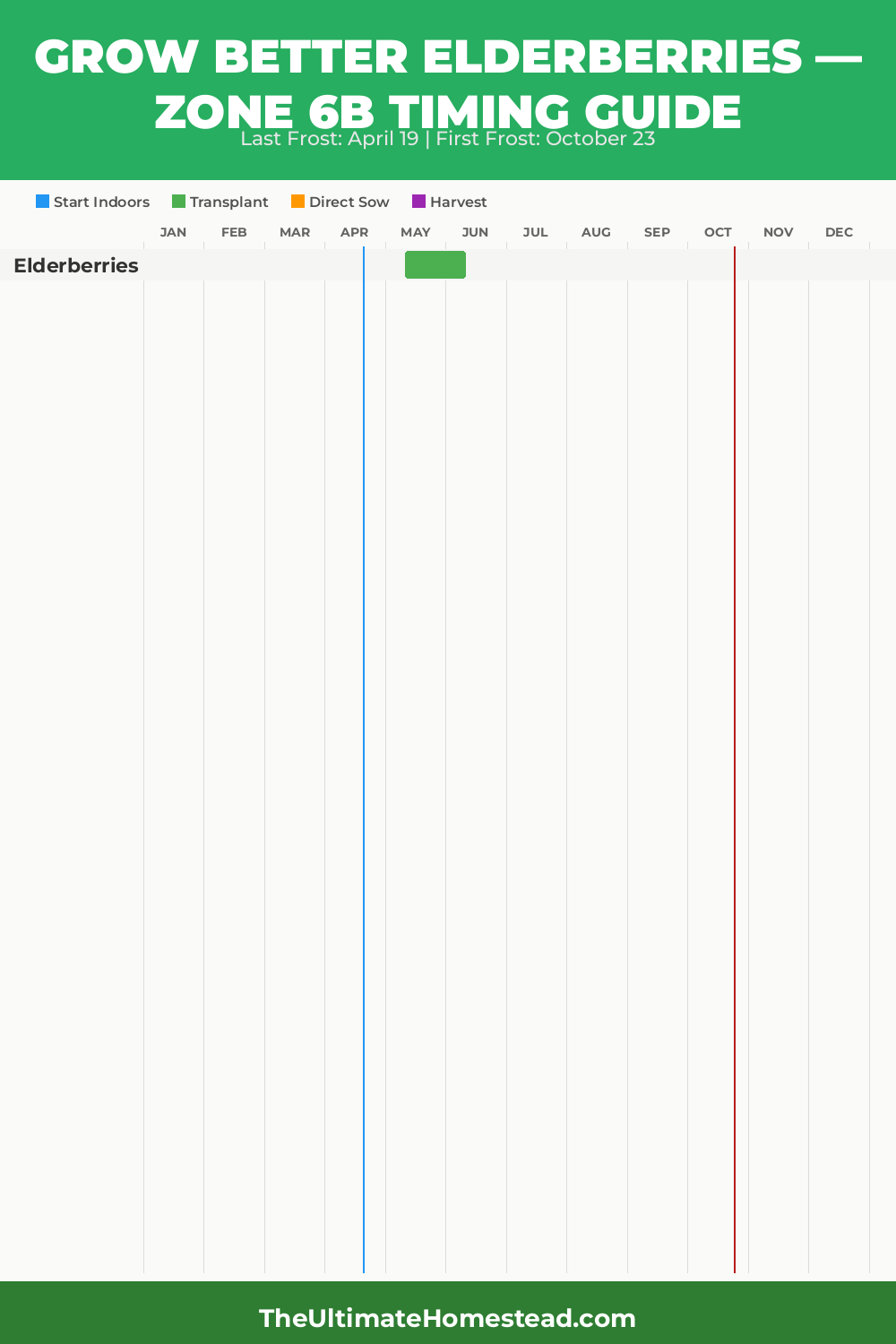 When to Plant Elderberries in Zone 6b