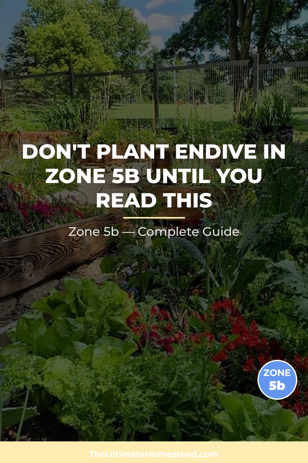 When to Plant Endive in Zone 5b