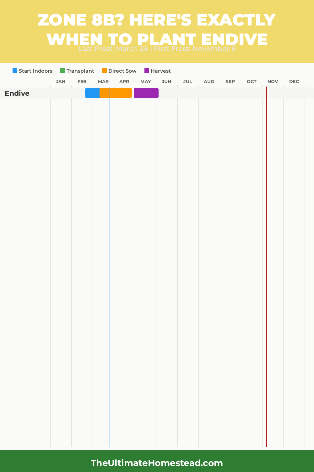 When to Plant Endive in Zone 8b