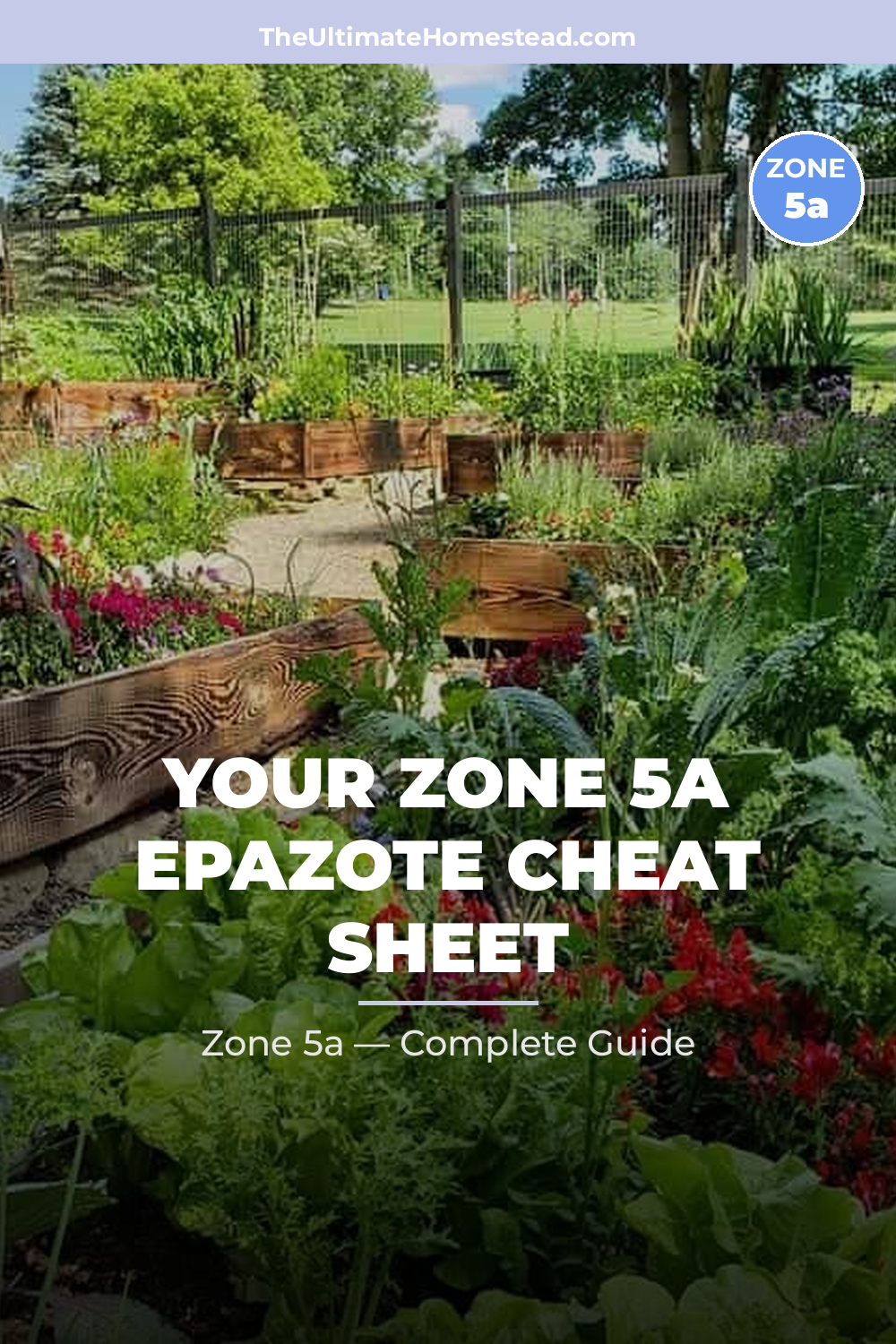 When to Plant Epazote in Zone 5a